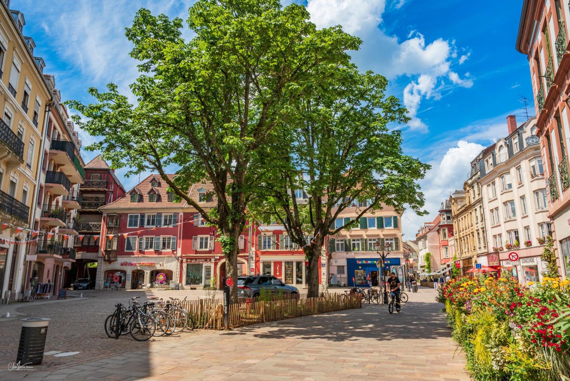 Aparthotel Lagrange Saint Sauveur 3*