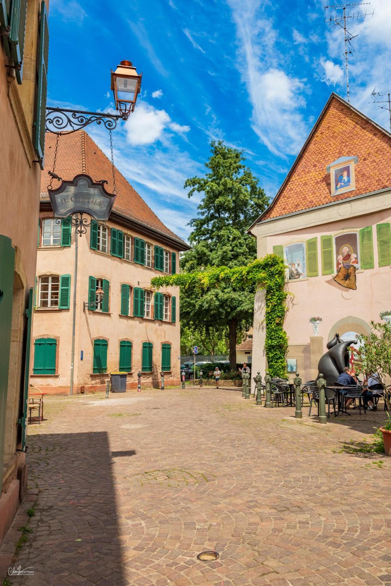 Lagrange Saint Sauveur Aparthotel Mulhouse